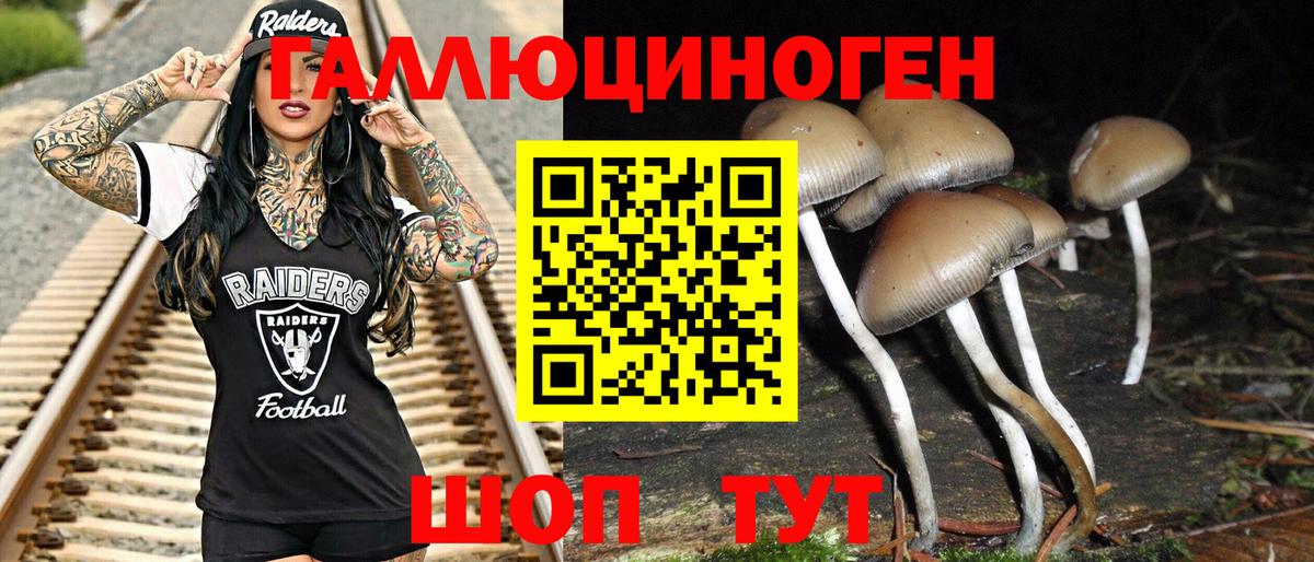 Псилоцибиновые грибы GOLDEN TEACHER Зеленокумск