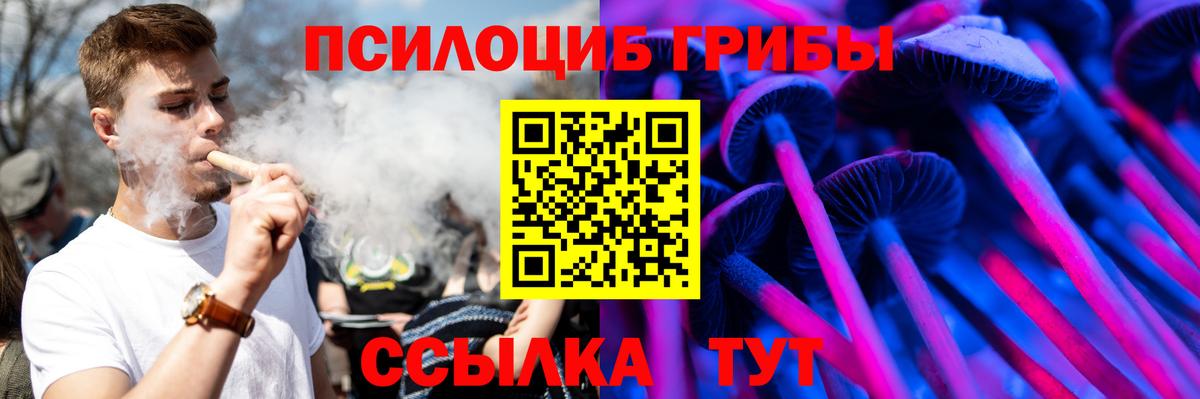 Галлюциногенные грибы Cubensis  Вход с VPN  Зеленокумск 